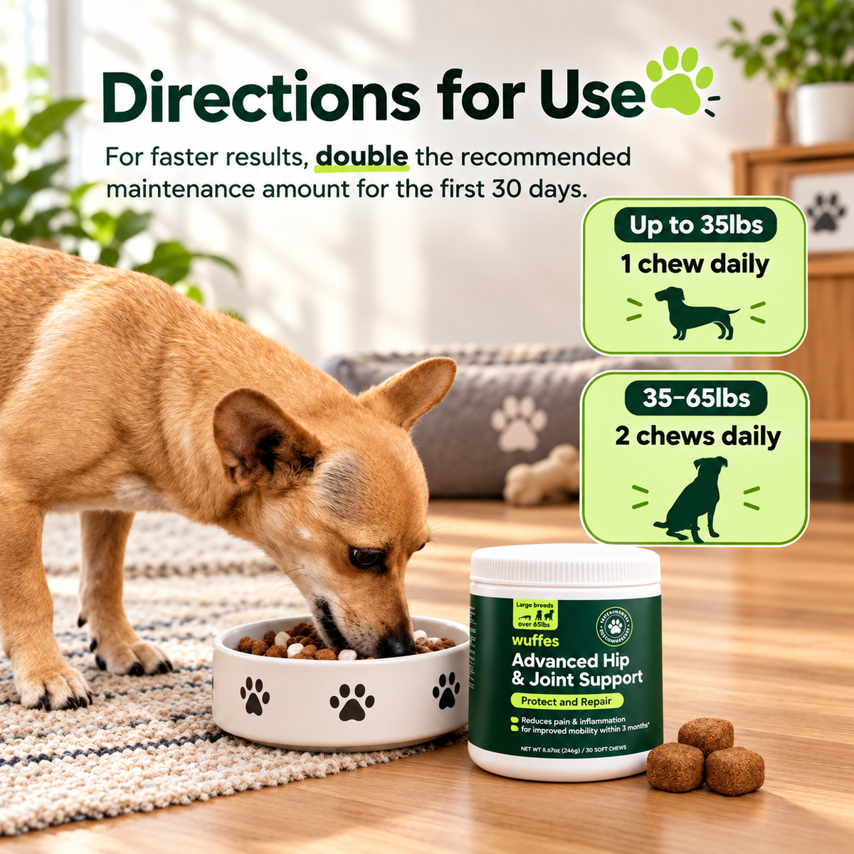 Advanced Dog Hip & Joint Supplement with Glucosamine, Chondroitin & Omega-3 | Best Buyers Shop